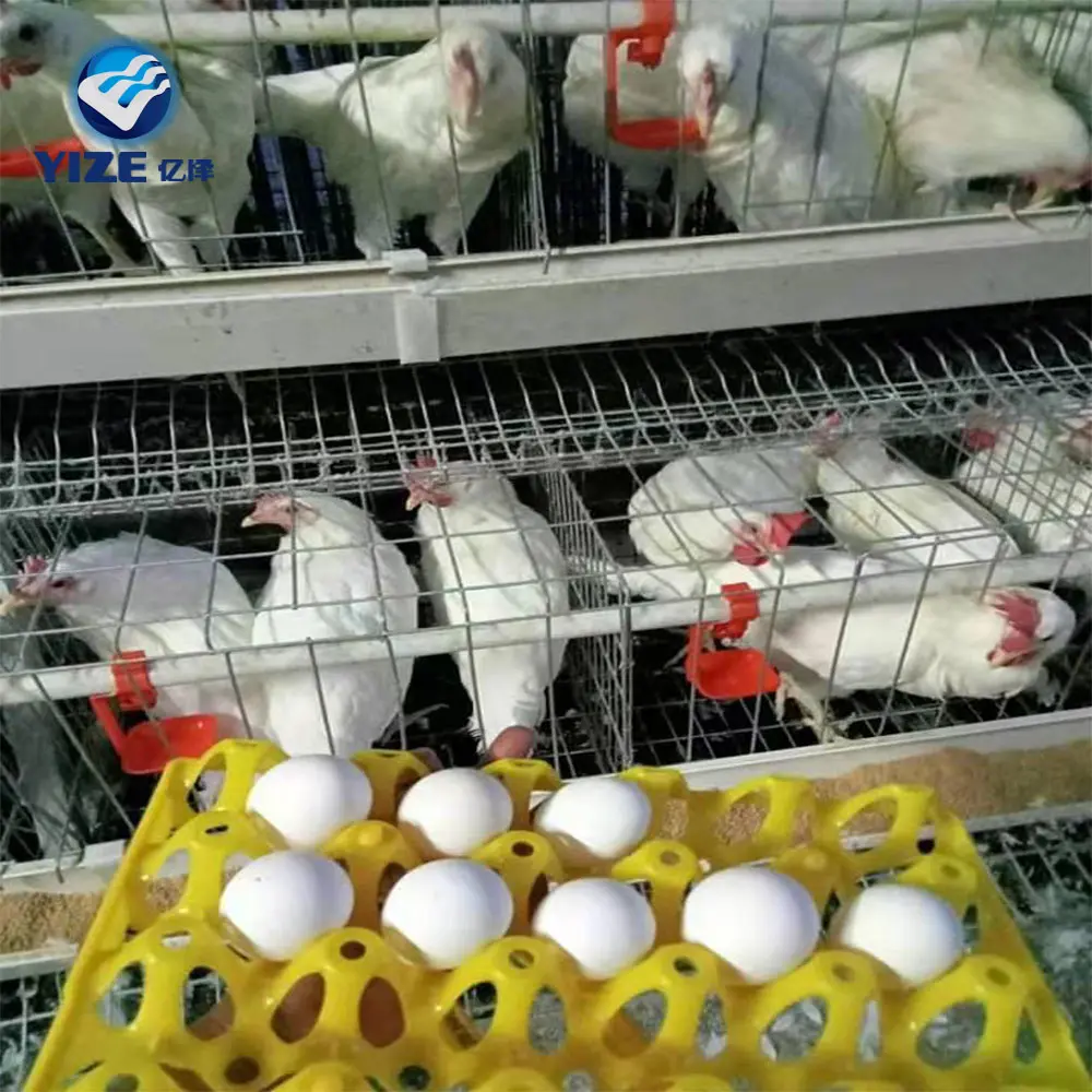 3 tier 4 doors poultry farm chicken layer cage with all accessories automatic cheaper price high quality breeding equipment