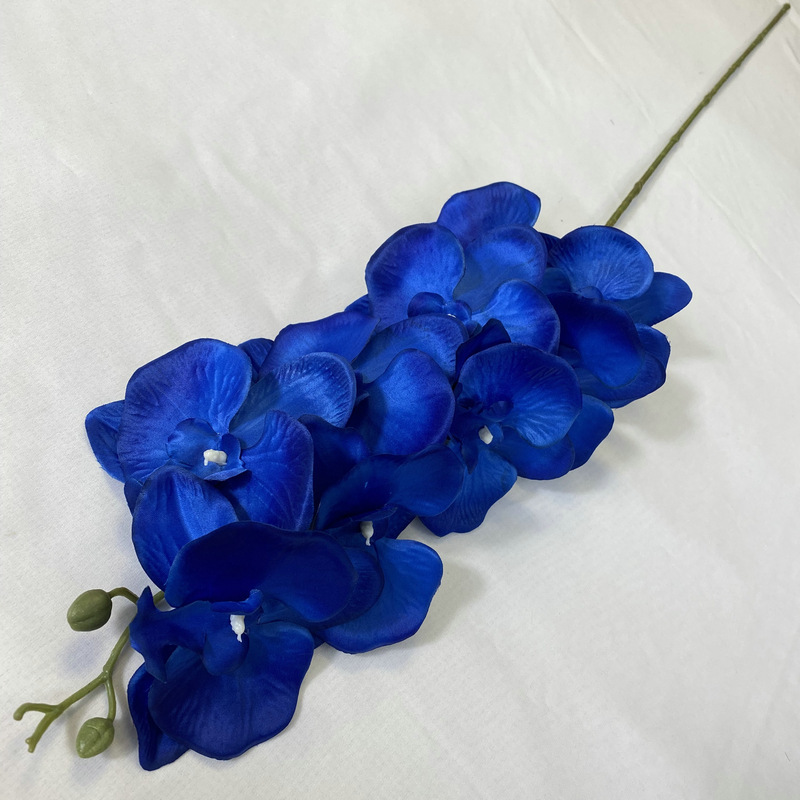 SKU01