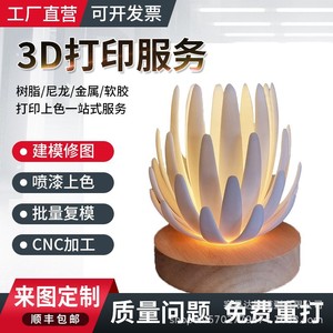 Pièces imprimées en 3D en plastique Rx-005 pour le prototypage et la production de petites séries avec matériau PLA et support de conception personnalisée - Product Image 5