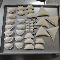 Machine de fabrication de samosa encroûtant Machine automatique à pelmeni à rouleaux de printemps Machine à fabriquer des boulettes de pastel Machine de fabrication de tourtes à la viande automatique