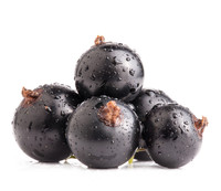 Poudre d'extrait de cassis de qualité industrielle, Anthocyanidine 5%-25%, Poudre de cassis