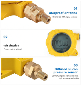 เซ็นเซอร์ความดันไร้สายสำหรับการสื่อสารซิมการ์ด4G GPT2451 - Product Image 2