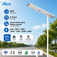 Anern 300w 600w Lampadaire solaire à induction led avec panneau solaire pv