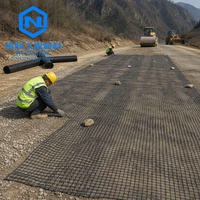 Géogrille biaxiale en plastique PP Nuolian, résistance à la traction de 15 à 60 KN, construction routière, mur de soutènement, pavage, garantie de 3 ans