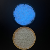 Galets phosphorescents, adaptés aux allées de jardin et à la décoration architecturale.
