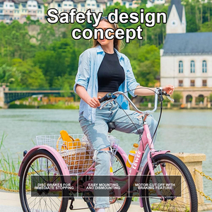 Triciclo motorizzato chiuso per adulti Lewee, 7 velocità, 26 pollici, <span class=keywords><strong>a</strong></span> <span class=keywords><strong>tre</strong></span> <span class=keywords><strong>ruote</strong></span> - Product Image 3