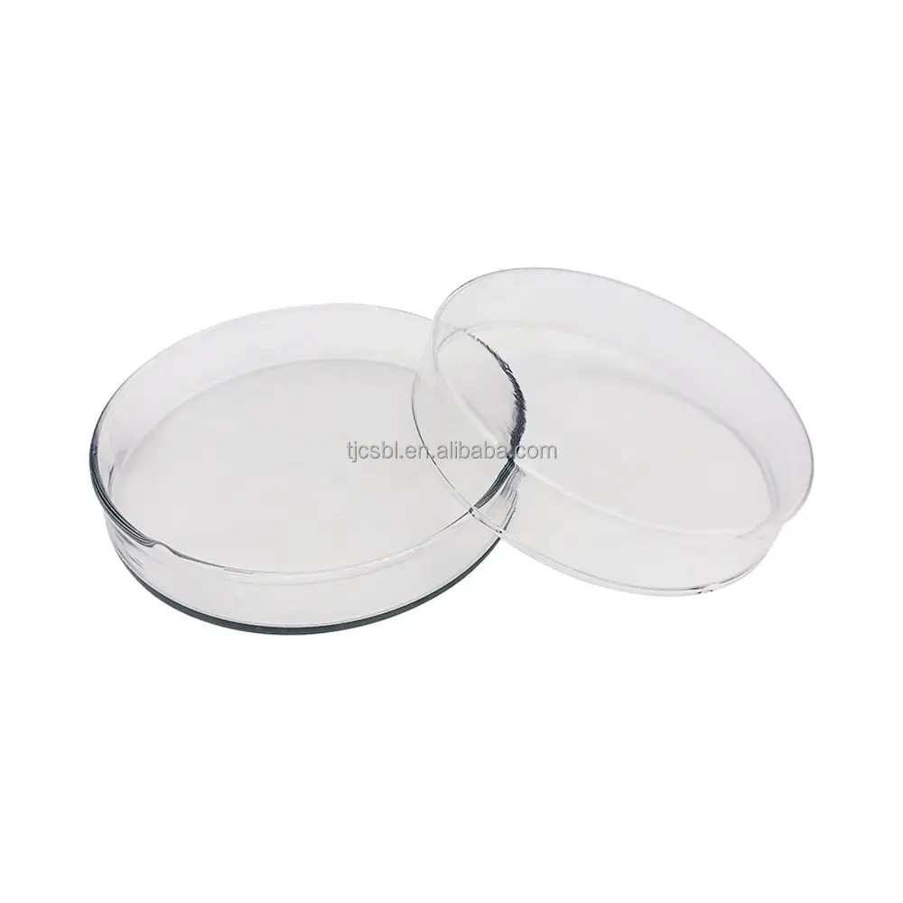 Labor-Glaswaren Borosilikat-Glas Zellkultur-Dish Petrischale für Labor