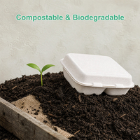 Boîte à salade jetable en pulpe de canne à sucre 9 pouces, 2 compartiments, rectangulaire, en bagasse, type clamshell, pour emballage à emporter