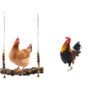 Eco-friendly pappagallo gabbia sospesa in legno interattivo ponte sospeso altalena con catena di metallo per il movimento degli uccelli - Product Image 1