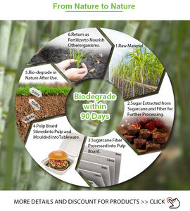 Piring Kertas Serat Tebu Bagasse Komposabel Bebas PFAS Harga Kompetitif Grosir - Product Image 6