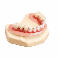 Ecolab Modèle dentaire de restauration de couronne en zircone pour implant dentaire Malo Bridge de qualité médicale, pour la formation et la présentation en soins bucco-dentaires ISO 9001