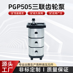 ปั๊มไฮดรอลิกแบบเพิ่มแรงดันสูง PGP505 แบบสามเกียร์ ปรับแต่งได้ ปั๊มแนวนอนระดับเดียว - Product Image 5