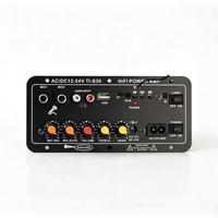 Yüksek Güçlü Dijital Amplifikatör Kartı Alıcı Subwoofer Çıkışı Ev Ses Sistemi için Çift Mikrofonlu Karaoke Amfisi