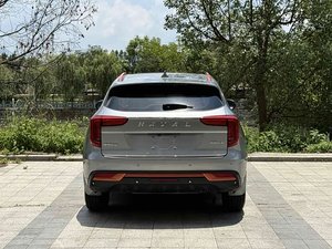 Haval First Love Auto 2021 2022 2023 Usata, SUV Spazioso con Connettività Smart, Cambio a 7 Velocità, dalla Cina - Product Image 6