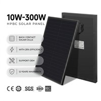 Panel Solar OEM ODM Premium HPBC de 20W 30W con Contacto Trasero Completo, Sin Busbar, Módulo Fotovoltaico de Alta Estética para Proyectos de CCTV e IoT de Alta Gama
