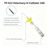 Cannule IV à ailettes de qualité médicale pour chatons (vétérinaire)