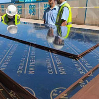 Lámina de Contrachapado Fenólico Antideslizante al por Mayor 4x8, Materiales de Construcción con Buena Estabilidad para Encofrados de Hormigón