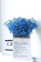 Fabrieksgroothandel Ge conserveerde Gypsophila Baby's Breath Eeuwigdurende - Hoge Kwaliteit Bloemmaterialen 120g/Pak Bulk Leverancier Bruiloft/Bureau