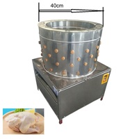 Dernière conception de machine à échauffer électrique/à gaz pour l'échaudage des poulets, échaudeuse et plumeuse de volailles pour l'abattage des poulets