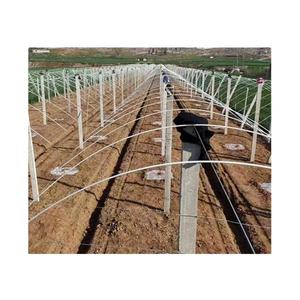 Pile solide pultrudée de haute résistance de fibre de verre pour des vignobles - Product Image 1