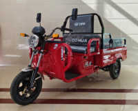 Tricycle utilitaire électrique Chongqing Cheetah Power ATV - 2026, 1000W, 3 roues