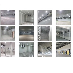 Paneles Sándwich Estándar de Filipinas, <span class=keywords><strong>Precio</strong></span> por <span class=keywords><strong>M2</strong></span>, Paneles para Cámaras Frigoríficas y Congeladores - Product Image 5