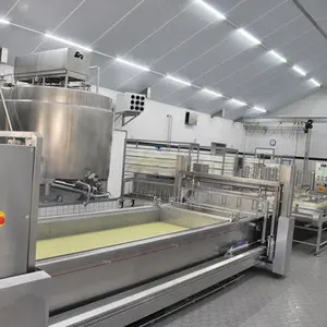 500L 1000L 2000L पनीर उत्पादन लाइन मोत्ज़ारेला पनीर बनाने की मशीन पनीर वैट