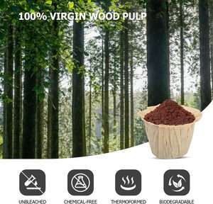 Filtres à café jetables Kaike, 300 pièces, papier naturel, remplacement pour machine à café à dosettes réutilisables, usage domestique et professionnel - Product Image 6