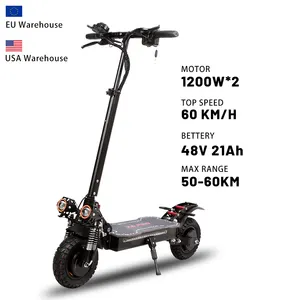 SUNNIGOO Electric Scooter 48V 2400W Daul Motor Scooter Electric 60km/h Foldable Adult 10 Inch Off Road Tire Electric Scooters