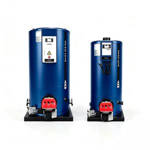 Calderas de gas y aceite de baja circulación natural industriales, resistentes a la corrosión, automáticas, de acero al carbono, de alta eficiencia para - Product Image 1