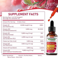 Gouttes liquides de complexe de vitamines B OEM avec B12, B6, B1, Niacine, Folate – Vitamines essentielles en gouttes liquides pour l'immunité, l'énergie, le métabolisme et le cerveau