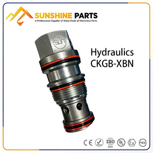 Válvula de Control de Presión Hidráulica Diferencial Pvcmelcn1 de Baja Fuga y Funcionamiento Suave para Sistemas de Excavadoras, Directo de Fábrica - Product Image 2