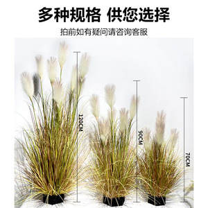 ช่อดอกหญ้าเทียมและหญ้าหางจิ้งจอก ขนาด 10-30 ซม. ทำจาก PVC นุ่ม สำหรับตกแต่งภายในบ้าน ดอกไม้ประดิษฐ์เสมือนจริง ต้นไม้เขียวชอุ่มตลอดปี - Product Image 3