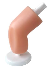 סימולטור ברכיים באיכות גבוהה בברך אורטופדיה - Product Image 1