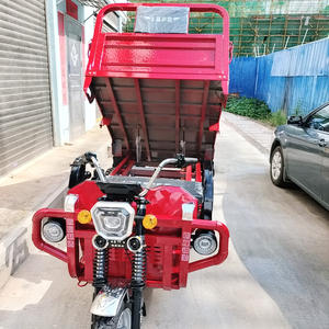 Barato E-Trikes 3 ruedas de carga eléctrica Pedicab Trimoto De Carga para llevar mercancías - Product Image 2