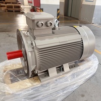 Moteur électrique 90 kW/440 kW à bobine, 3000 tr/min, sans balais, 2 pôles, avec chauffage par induction, pour machine à grignoter les graines et cage à ardillons