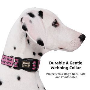 Collier de chien réglable réfléchissant durable à séchage rapide boucle en nylon sécurisé motif à rayures douces 10 couleurs pour les promenades de randonnée sur la plage - Product Image 2