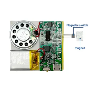 Reproductor de música de sonido MP3 USB recargable programable de 8M con módulo de voz Mini tarjeta de felicitación Sensor de luz Módulo de chip de sonido