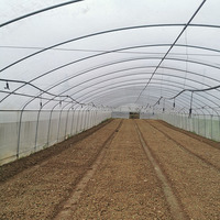 Serre de fraises de plantation de fruits Projet clé en main Poly Film Arche de tunnel Film plastique Serre de fraises
