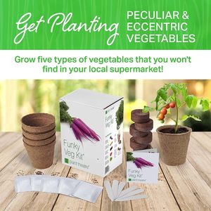 Kit de jardin potager d'intérieur de style ferme extraordinaire de 5 pièces, pots de fleurs écologiques pour pépinière, maison, chambre, utilisation en extérieur - Product Image 6