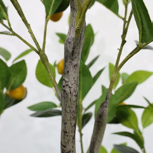 Arbre artificiel <span class=keywords><strong>citronnier</strong></span> de 120 cm avec <span class=keywords><strong>pot</strong></span>, feuilles de citron artificielles réalistes, plantes d'intérieur artificielles <span class=keywords><strong>pour</strong></span> la décoration de la maison - Product Image 6