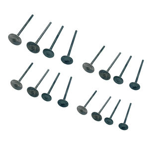 Katup Intake Exhaust Mesin MR20 13201-EN20A 13202-EN200 untuk Nissan MR20DE M4R Suku Cadang Mobil Katup Aksesoris Mobil - Product Image 1