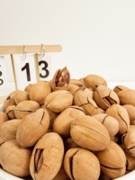 Nueces de Pecán Orgánicas Secas al por Mayor, Exportación a Granel, Calidad Superior, Fabricante de Alimentos, Certificaciones Completas, Etiqueta de Empaque Personalizada OEM