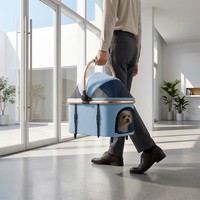Poussette de luxe pour animaux de compagnie, chiens et chats de petite taille, avec panier amovible, lit convertible, cadre rose doré, pliable, design de voyage