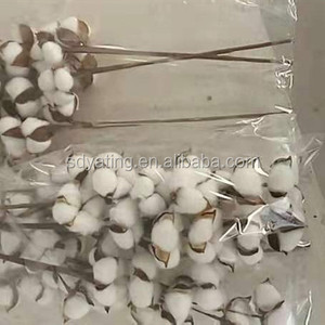 Hot Selling Natural Cotton Blossom Stem Dried Flower Branches With <strong>Twigs</strong> <strong>for</strong> Outdoor <strong>Decor</strong> Artificial Cotton Flower - Product Image 6