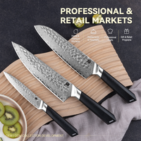 Ensemble de couteaux de cuisine Damas 3 pièces avec manche G10, lames en acier Damas, design ambidextre, fabrication artisanale, support personnalisé de luxe