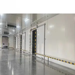 Best Selling Commercial Fish Cold Room Price For Vegetables Cold Storage Panel Cool/ Cold Room For Sale