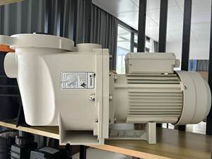 Pompe de piscine Pentair Style 1,5HP 2HP 3HP avec moteur électrique - Product Image 3