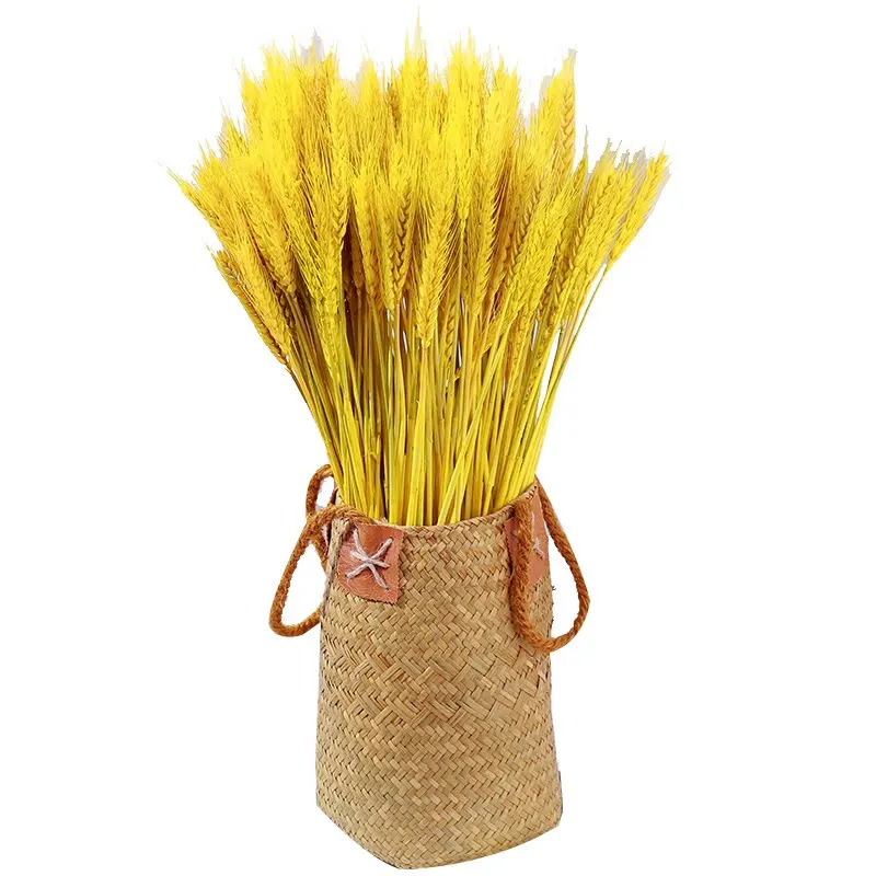 Factory Selling Vase Filler Decoration Plant Natural Style Dried Real Wheat Flowers Multi-colored Real Dry Wheat oats