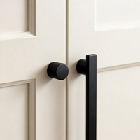 Armoires de cuisine sur mesure prêtes à assembler (RTA) avec portes vitrées pour projets de rénovation d'appartements et de maisons